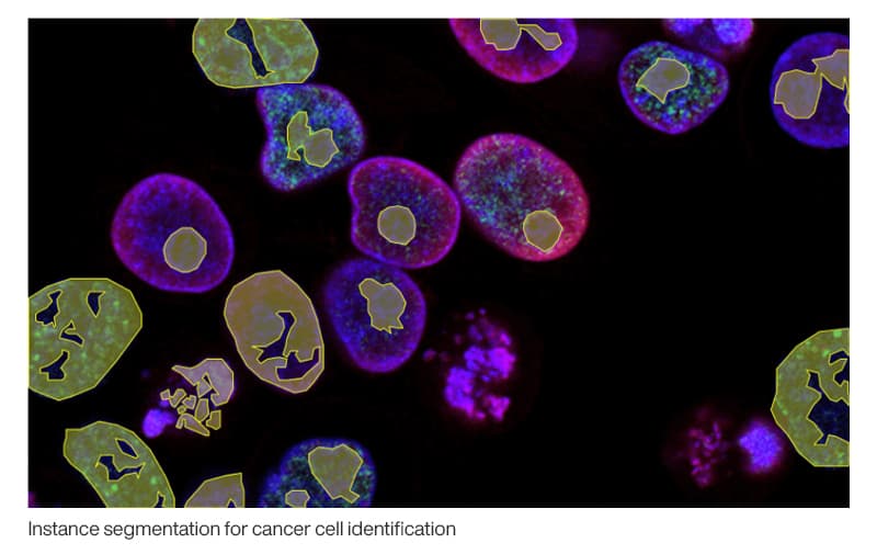 Instance segmentation for cancer cell identification