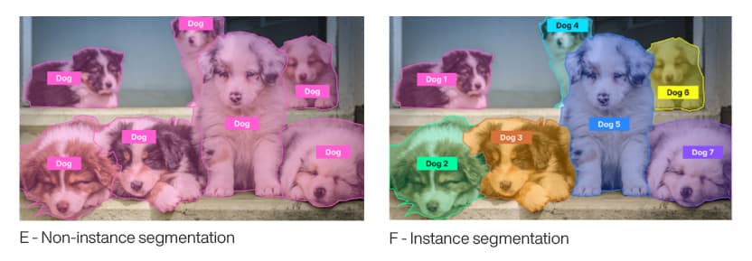 Non-instance segmentation and instance segmentation
