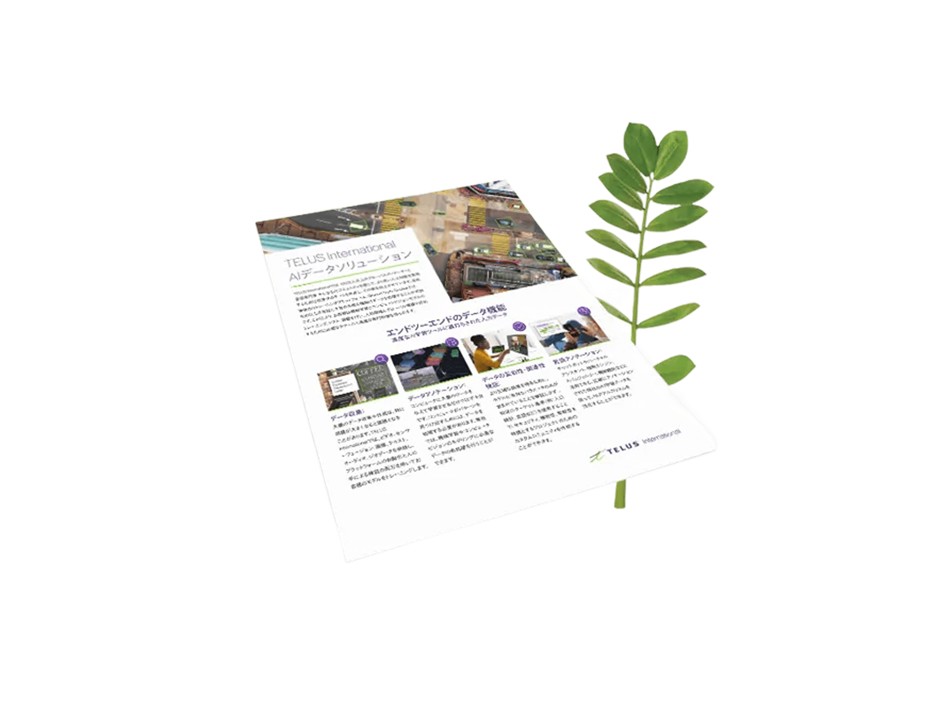 JA - Brochure - Preview