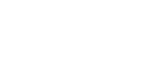 Dominos logo white