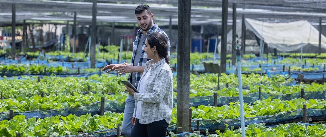 farm-owner-assesses-soil-crops-for-planting