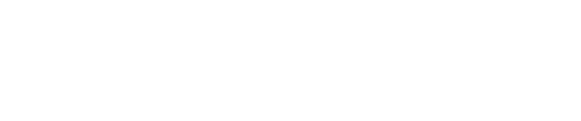 Dominos logo white